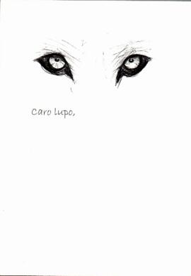 «LETTERE A UN LUPO»