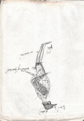 «Disegni per gli uccelli di Spaventapasseri sposi»